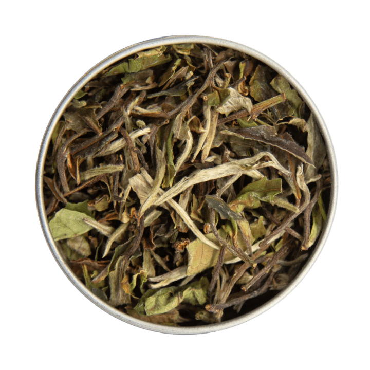 B5 Pain Mu Tan – Copie