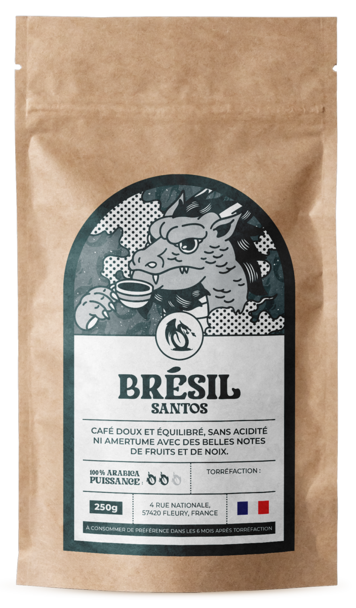 AMERIQUE_SUD_BREZIL_SANTOS