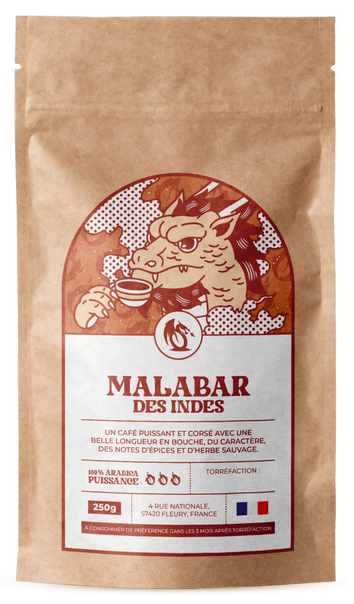 ASIE_MALABAR_DES_INDES-1