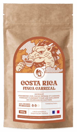 COSTA RICA - FINCA CARRIZAL - MICROLOT